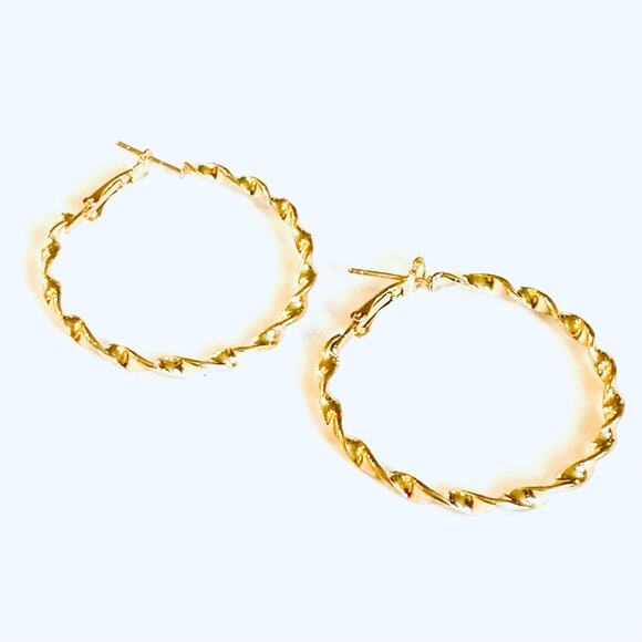 Gold hoop twist earrings - Picture 1 of 3